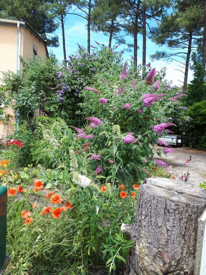 Le Relais De La Praya Bed & Breakfast Lege-Cap-Ferret Exterior photo